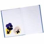 Read more about the article Pressed Flowers (Stationery)