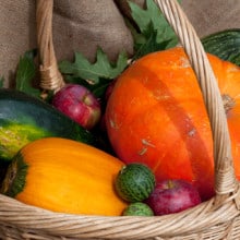 Welcome Autumn!