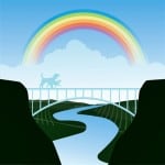 Read more about the article Revisiting the Rainbow Bridge