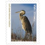 Read more about the article National Park Service Forever Stamps June 2016