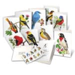 Read more about the article Songbirds Notecards