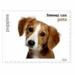 New Puppy Chapter blog post with Puppies Forever stamp