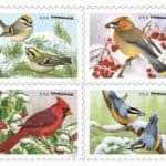 Read more about the article Upcoming Songbirds in Snow Forever Stamps