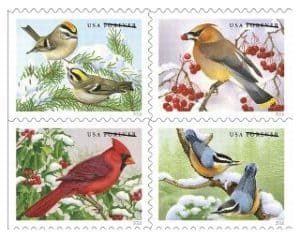 Upcoming Songbirds in Snow Forever Stamps