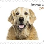 Pets Forever USStamp Dogs - Dog days of summer 2016