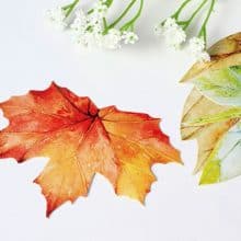 Monday Motivation Big Rocks & Autumn Leaf Shape Postcards