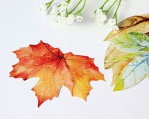 Rumcent Special Irregular Shape Autumn Leaves Postcards