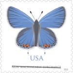 Stamps Retiring March 2020 New Butterfly Square Stamp