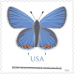 New Butterfly Square Stamp