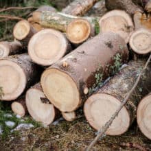 November 2016 AnchoredScraps Daily Blog Recap