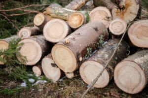 firewood, November 2016 AnchoredScraps Daily Blog Recap