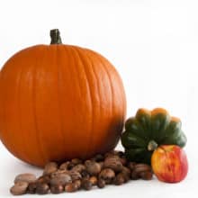 Sending Thanksgiving e-cards