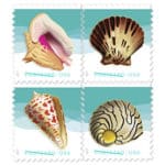 Read more about the article Beach Music and 2017 Seashells Postcard stamps