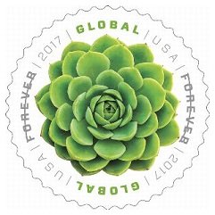 Global Forever 2017 Green Succulent, header image in my March 2017 AnchoredScraps Daily Blog Recap