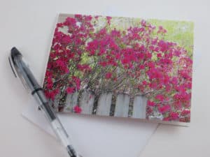 Azalea Note Cards Stationery by Rustic Barn Studio