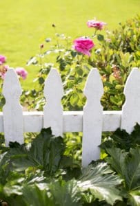 White picket fence