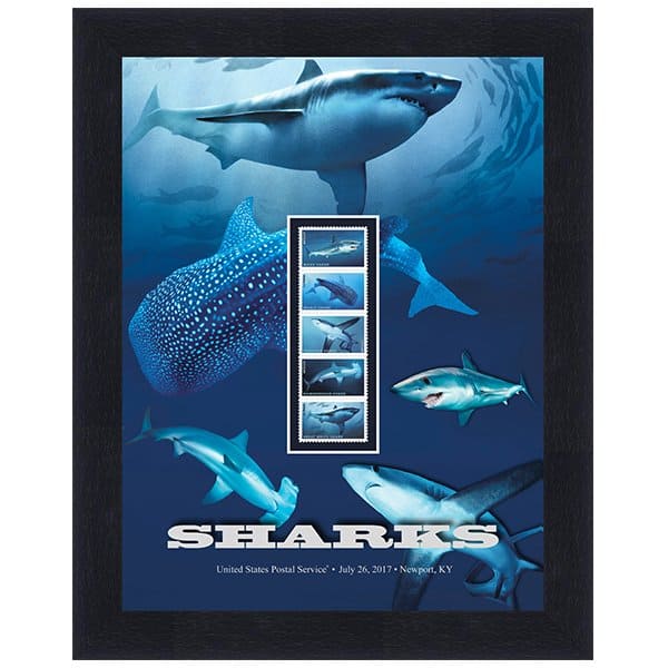 Shark Week USPS Shark Stamps Unveiling | AnchoredScraps.com