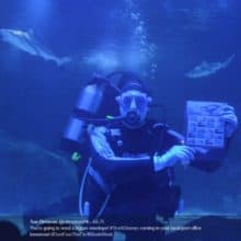 Shark Week USPS Shark Stamps Unveiling