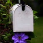 Read more about the article August Mailbox Letter Writing Follow-Up