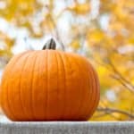 Read more about the article Trick-or-Treat October 2017 AnchoredScraps Daily Blog Recap