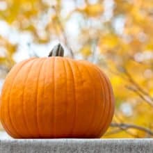 Trick-or-Treat October 2017 AnchoredScraps Daily Blog Recap
