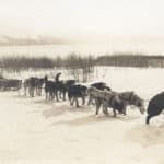 Read more about the article Alaskan Dog Sled Mail Carrier