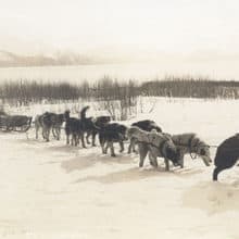 Alaskan Dog Sled Mail Carrier
