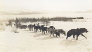 Alaskan Dog Sled Mail Carrier