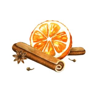 Image Slice of orange, cinnamon and star anise