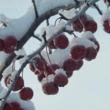 January 2018 AnchoredScraps Daily Blog Recap