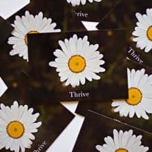 Thrive Encouraging Daisy Postcard by EntreCard