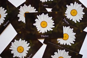 Thrive Encouraging Daisy Postcard by EntreCard