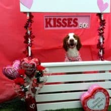 Cooper’s Valentines Kisses Booth 2018