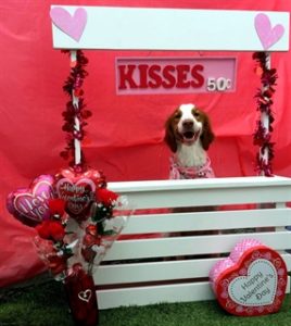 Cooper's Valentines Kisses Booth 2018