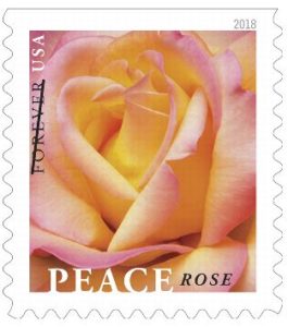 Peace Rose Forever Stamp