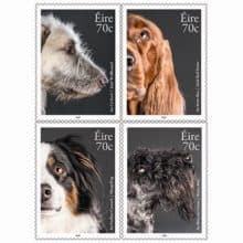 Pawsing for @PostVox Irish Dog Breeds 2016 Stamps