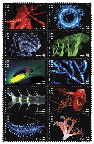 2018 Bioluminescent Life Forever Stamps