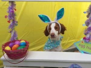 Cooper's Easter Greetings 2018