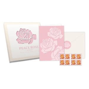 Peace Rose Stationery Notecards Set USPS