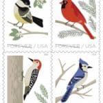 Read more about the article Upcoming Birds In Winter Forever Stamps