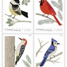 Upcoming Birds In Winter Forever Stamps