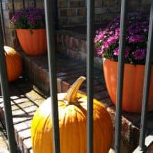 Saturday Autumn Letter Writing Greetings