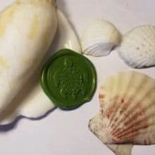 Sea Turtle Wax Seal Peel and Stick Seals