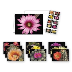 USPS Cactus Flower Notecards Stationery Set