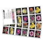 Read more about the article USPS Cactus Flowers 2019 Forever Stamp Booklets