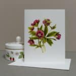 Hellebore Lenten Rose Botanical Note Card