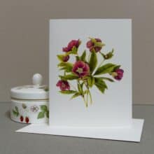Perennial Flowering Stationery: Lenten Rose Botanical Note Card