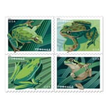 USPS North American Frogs Forever Stamps 2019