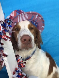 Coopers Happy July 4, 2019