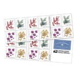 Read more about the article Upcoming USPS Winter Berries Forever Stamps